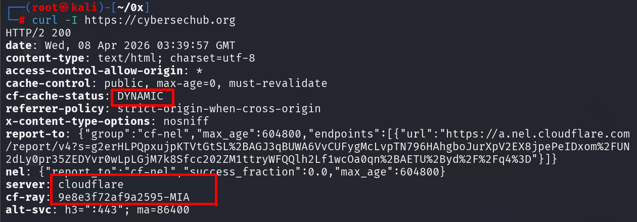 Cloudflare HTTP headers with Cf-Ray and cache status