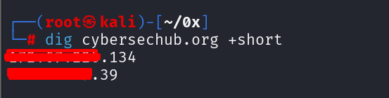 Cloudflare DNS resolution returning Cloudflare IP ranges