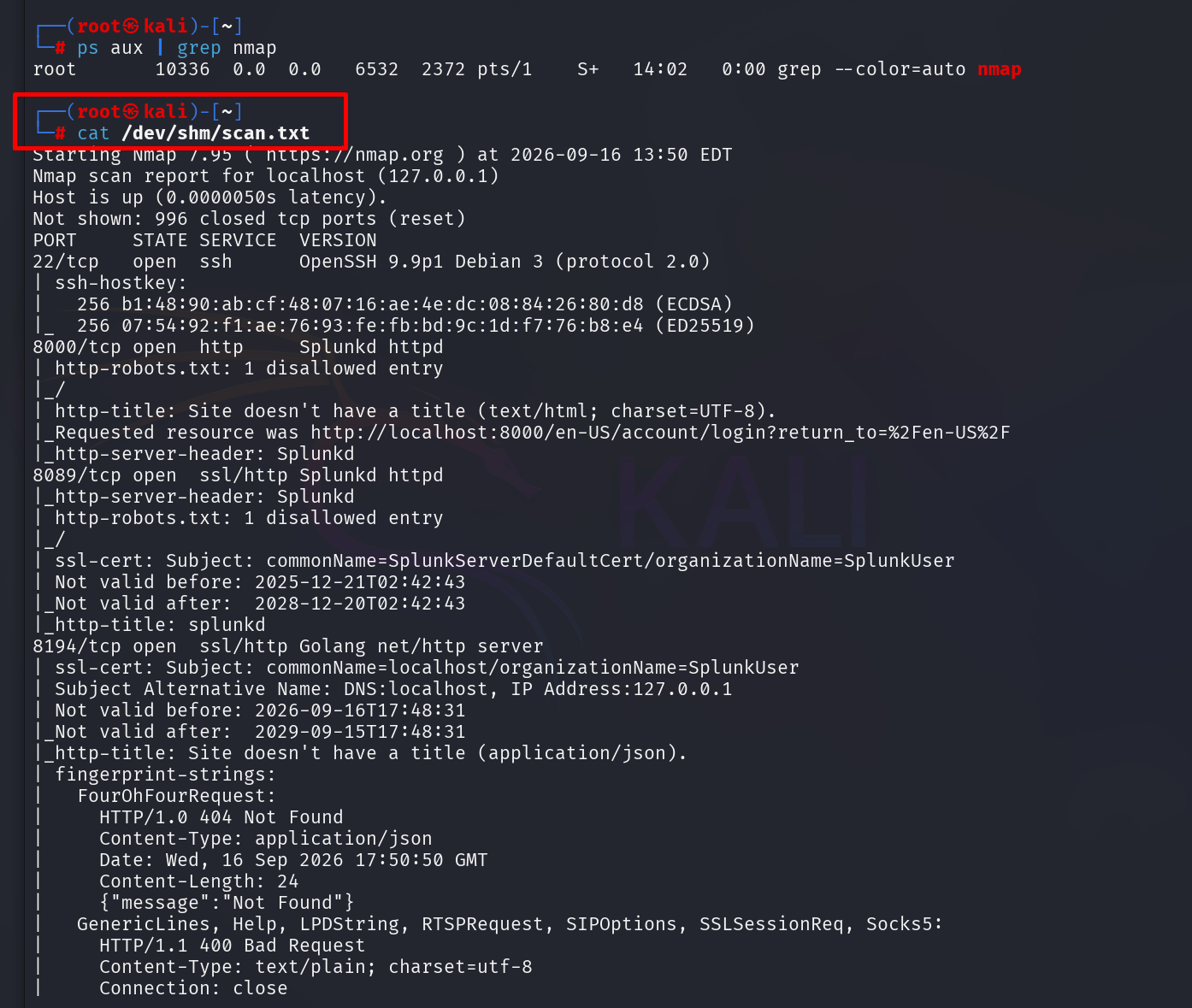 ps aux showing no nmap process and scan results